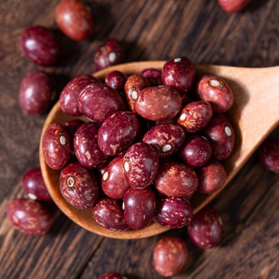 云南金丝豆袋装厂家批发新货红花豆孔雀蛋芸豆杂粮饭豆四季金丝豆图4