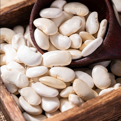 白芸豆批发新货云南厂家直发白芸豆大白豆白云豆豆类杂粮粗粮现货图4