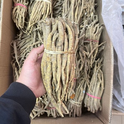 批发云南山货 一件代发甜当归独脚当归个子散装新货当归头500g图4