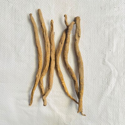 批发云南山货 一件代发甜当归独脚当归个子散装新货当归头500g图3