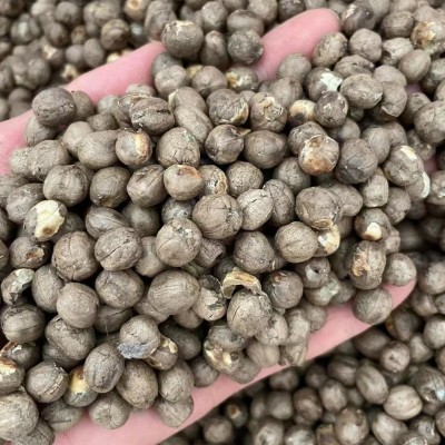 云南山货中药材大货批发一件代发竹米炖汤250g散装竹子果实竹米图2