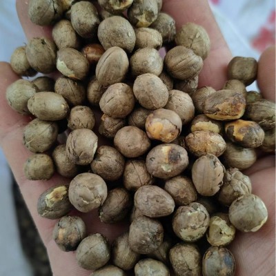 云南山货中药材大货批发一件代发竹米炖汤250g散装竹子果实竹米图3