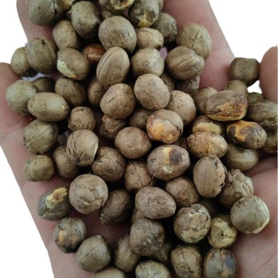 云南山货中药材大货批发一件代发竹米炖汤250g散装竹子果实竹米图5