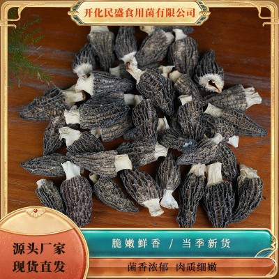 羊肚菌干货煲汤工厂种植基地批发无硫农家滋补食用菌菇羊肚菌菇