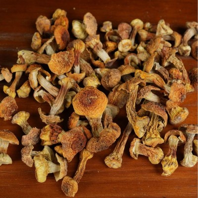 姬松茸干货云南特产新鲜感姬松茸菌巴西菇无硫熏包邮批发野生菌菇图3