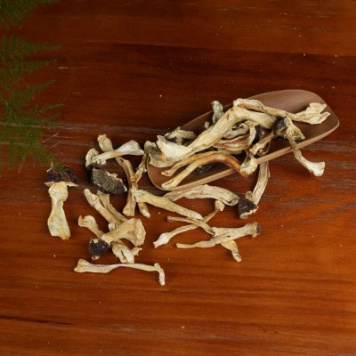 赤松茸菌菇干货特产天然大球盖菇新鲜干片风干煲汤炖煮火锅食用图2