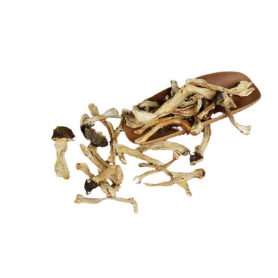 赤松茸菌菇干货特产天然大球盖菇新鲜干片风干煲汤炖煮火锅食用图5