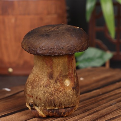 黑牛肝菌野生云南特产新鲜菌子野生菌类鲜货新鲜食用鲜菌现采批发图4