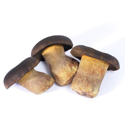 黑牛肝菌野生云南特产新鲜菌子野生菌类鲜货新鲜食用鲜菌现采批发图5