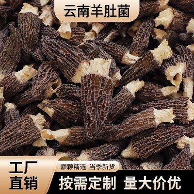 羊肚菌干货云南羊肚菌原产地整箱500g头茬羊肚菌干货大量批发代发图2