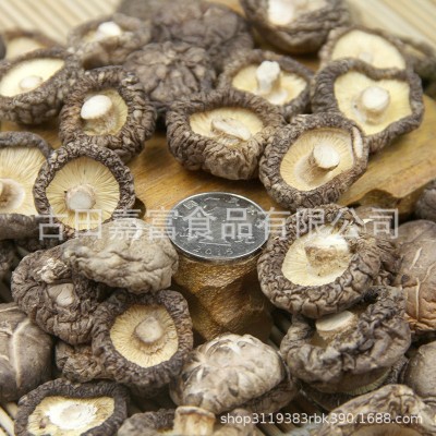 小香菇古田蘑菇优质冬菇干菇水菇肉厚煲汤食材火锅500g批发图2