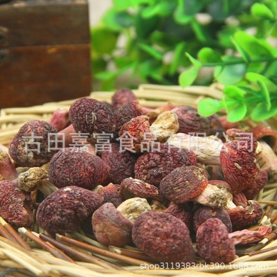 厂家批发红菇丁干货武夷山小红菇 正红菇小菇500g经济装食用菌散图2