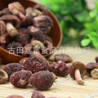 厂家批发红菇丁干货武夷山小红菇 正红菇小菇500g经济装食用菌散图3