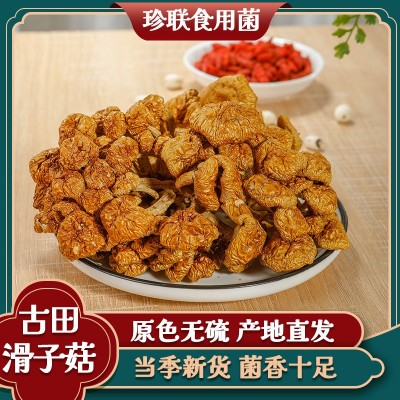 【厂家直销】福建古田滑子菇干货500G包装滑子蘑滑菇干货大量批发图2