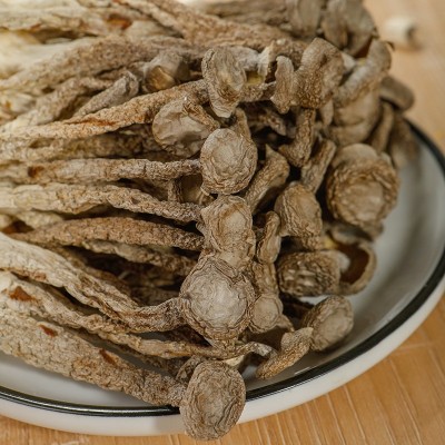 古田特产鹿茸菇干货500G包邮火锅煲汤食用菌农产品鹿茸菇产地直发图2