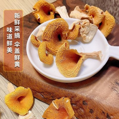 福建古田鸡油菌干货黄丝菌黄金菇榆黄菇菌菇煲汤料鸡枞菌干菌子图2