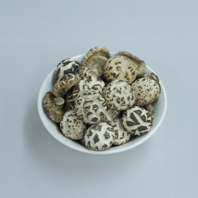 厂家直销秋载一级白花菇干货冬花菇批发大小规格齐全图3