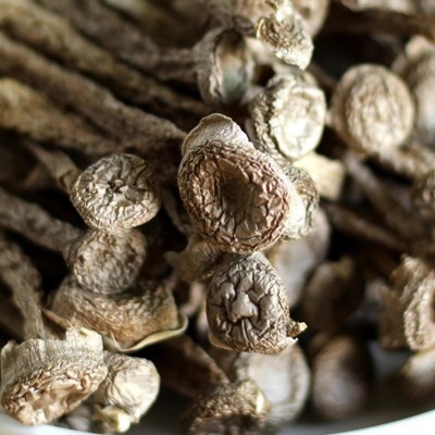 厂家直销鹿茸菇干货鹿茸菌规格齐全脆脆菇蘑菇抖音快速各平台代发