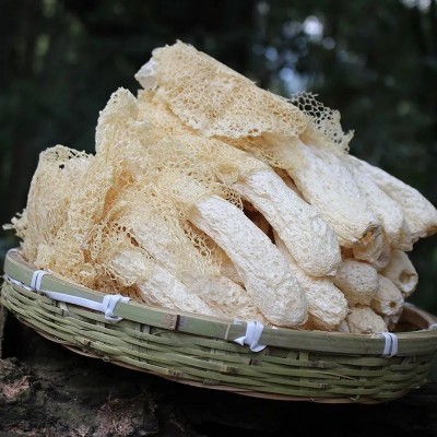 古田新货竹荪干货批发无硫长裙竹荪10g竹笙各种规格抖音快手代发图2