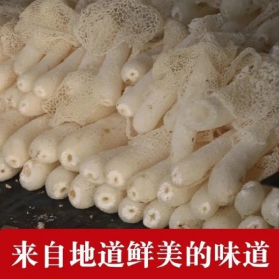 古田新货竹荪干货批发无硫长裙竹荪10g竹笙各种规格抖音快手代发图3