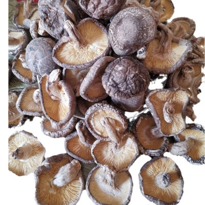 椴木香菇干货 农家特产随州冬菇散装木头香信菇原木大片薄香菇图5