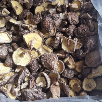 椴木香菇干货 农家特产随州冬菇散装木头香信菇原木大片薄香菇图4