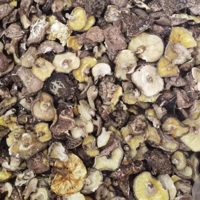 椴木香菇干货 农家特产随州冬菇散装木头香信菇原木大片薄香菇图2