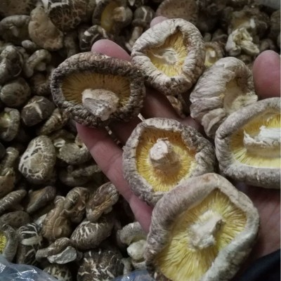 随州香菇干货散装产地直发 茶花菇 4-5干货特级可出口 香菇特产图3