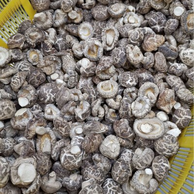 随州香菇干货散装产地直发 茶花菇 4-5干货特级可出口 香菇特产图2