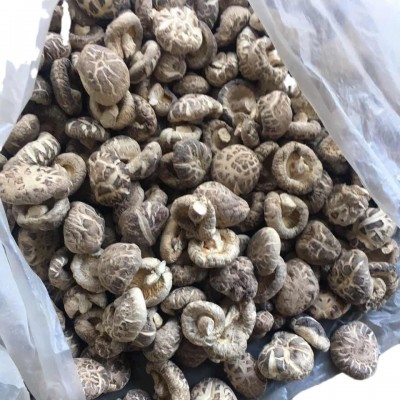 随州香菇干货散装产地直发 茶花菇 4-5干货特级可出口 香菇特产图5