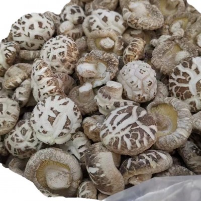 随州特产天白大花菇干货批发 白花菇 香菇干散装产地直发出口货源图5
