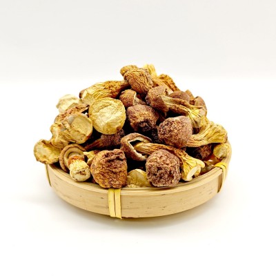 本色姬松茸干货500g批发厂家直供今年新货菌云南松茸菇巴西菇松茸图4