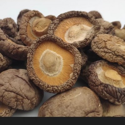 古田香菇干货批发肉厚柄短易泡发无硫干香菇菌菇干货厂家直销新货图4