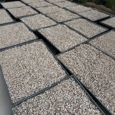 双剪香菇丁 产地直销脱水香菇脚西峡特产双剪香菇丁 食用菌干香菇图4