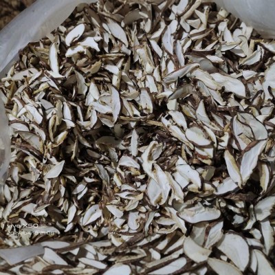 干货香菇片 香菇条 香菇丝真空包装香菇切片 各种规格工厂直销图2