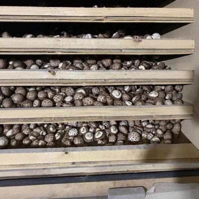 随州香菇源头工厂批发货源稳定充足餐饮酒店食品厂直供干香菇图4