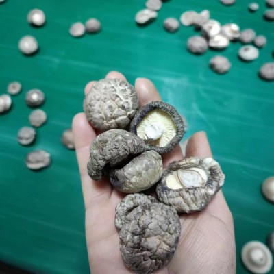 随州香菇源头工厂批发货源稳定充足餐饮酒店食品厂直供干香菇图3