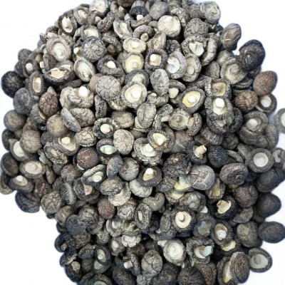 随州香菇源头工厂批发货源稳定充足餐饮酒店食品厂直供干香菇图5