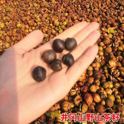 山茶油纯土茶油野山茶籽油农家自榨真正的压榨山茶籽月子食用油图4