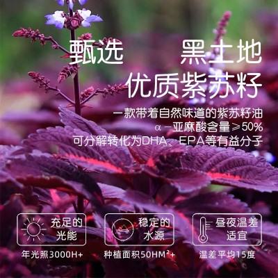 紫苏籽油纯正一级冷压榨苏子油500ml补亚麻酸健康食用油厂家直销图3