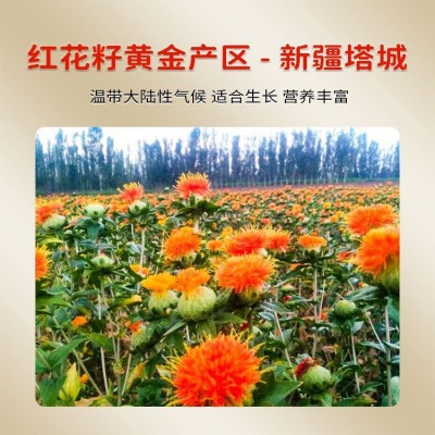 新疆西格尔食用红花籽油1.6升一级压榨新疆塔城纯红花籽油图2