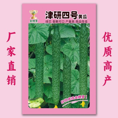 黄瓜种子老品种津研四号刺黄瓜种籽春夏季播种蔬菜瓜果种孑菜籽种图5