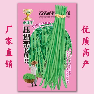 批发长豆角种子豇豆四季播种阳台盆栽豆角持满架农家蔬菜种子图2