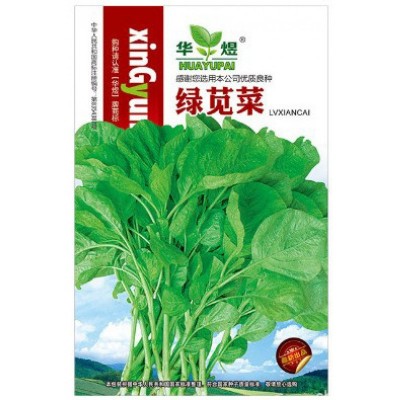 绿苋菜种子 野生苏子 野菜种子 家庭阳台菜园盆栽蔬菜种子批发5克图5