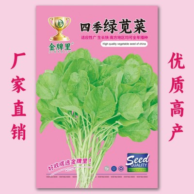 绿苋菜种子 野生苏子 野菜种子 家庭阳台菜园盆栽蔬菜种子批发5克图4