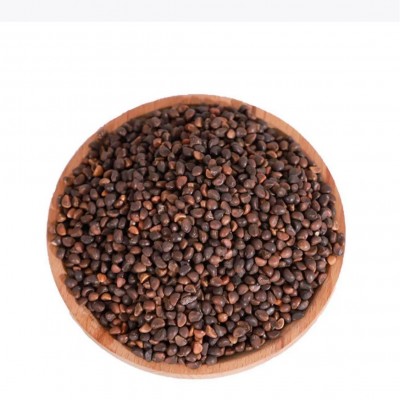 批发水培芽苗菜种子进口空心菜种纸上种菜无土栽培图5