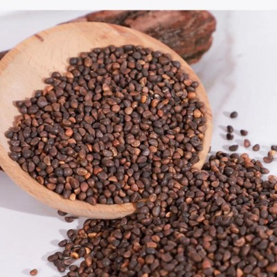 批发水培芽苗菜种子进口空心菜种纸上种菜无土栽培图2