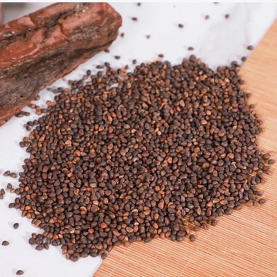 批发水培芽苗菜种子进口空心菜种纸上种菜无土栽培图3