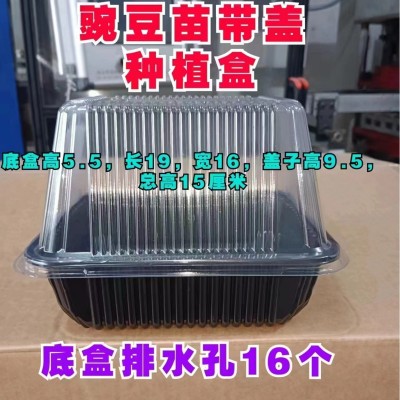 批发活体育苗盒芽苗菜种植盒1000个/件 圆形育苗盘750个/件图3