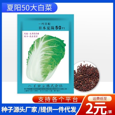 厂家批发代发快速耐抽苔日本夏阳50大白菜菜种子耐热耐寒蔬菜图5